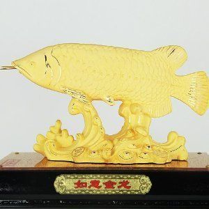 金龍魚的價(jià)格國(guó)家承認(rèn)嗎：金龍魚產(chǎn)品市場(chǎng)價(jià)格公開透明