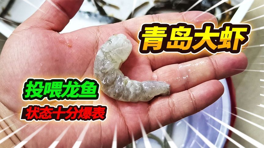 喂龍魚泥鰍處理方法有哪些：喂龍魚泥鰍處理方法 龍魚百科 第2張