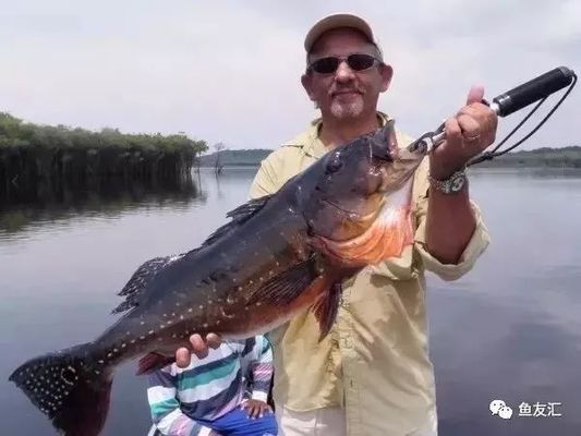 和紅龍魚(yú)混養(yǎng)的高端魚(yú)種：幾種適合與紅龍魚(yú)混養(yǎng)的高端魚(yú)種