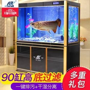 金龍魚缸底用什么顏色：金龍魚缸底用什么顏色好