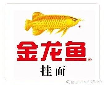 金龍魚年報(bào)不是早就知道了嗎：金龍魚2023年年報(bào)提供公司財(cái)務(wù)表現(xiàn)和經(jīng)營(yíng)狀況 龍魚百科