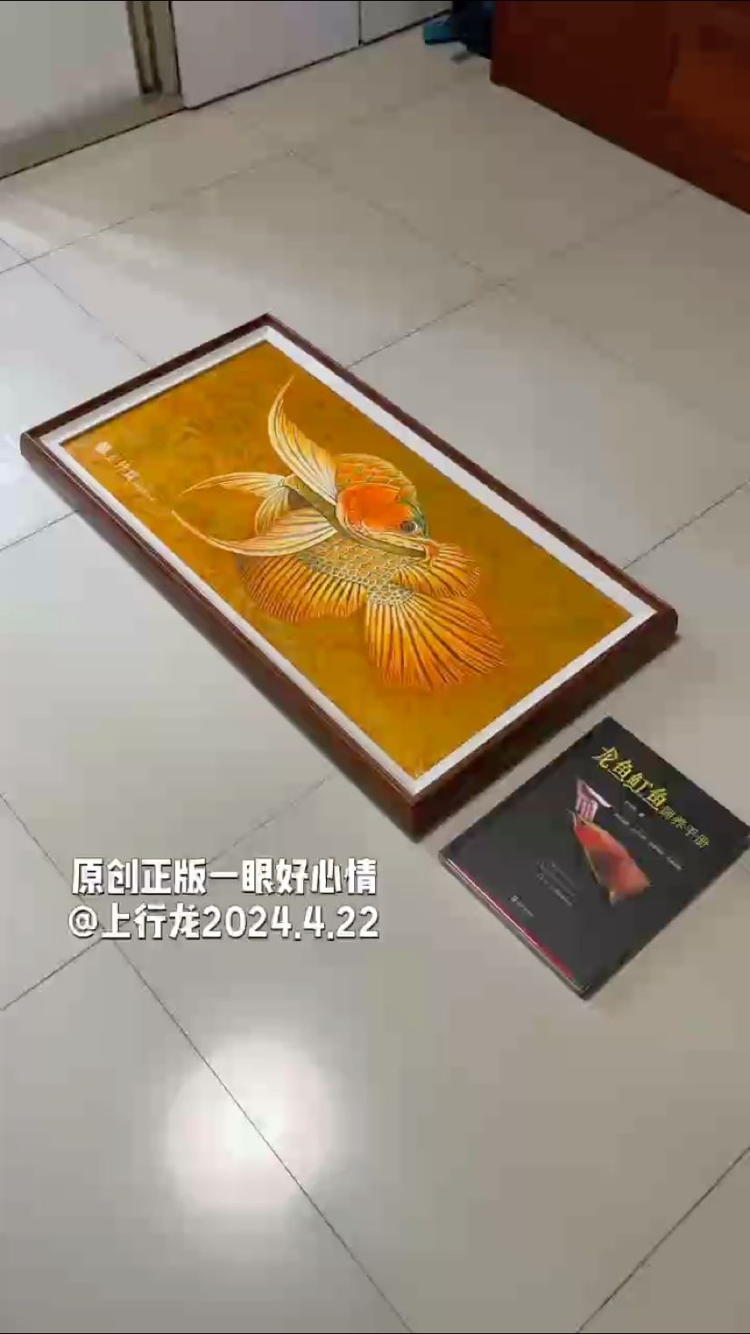 讓人過(guò)目不忘的紅龍魚(yú)，龍魚(yú)極品油畫(huà)！ #：千錘百煉出來(lái)的新作品，一盞射燈即可讓畫(huà)眼前一亮，版權(quán)所有禁商用 觀賞魚(yú)論壇