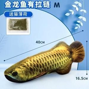 金龍魚咬別的魚：金龍魚咬別的魚可能是因為空間太小或發(fā)情期引起