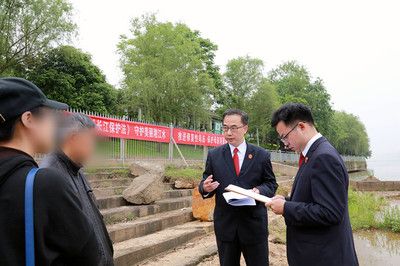 10cm龍魚苗多少錢一條合適養(yǎng)：龍魚苗價格多少錢一條 龍魚百科 第3張