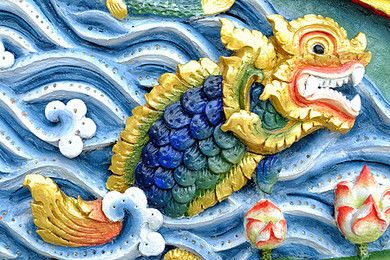 老孫龍魚 背景故事簡(jiǎn)介：關(guān)于“龍魚老孫”的一些背景故事 龍魚百科 第1張