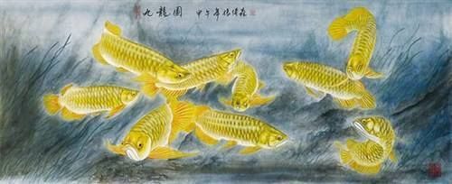 老孫龍魚 背景故事簡(jiǎn)介：關(guān)于“龍魚老孫”的一些背景故事 龍魚百科 第3張