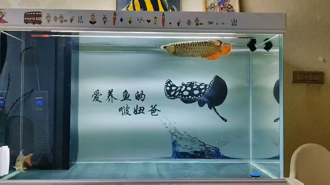 空氣缸：打造空氣缸會(huì)上熱門嗎