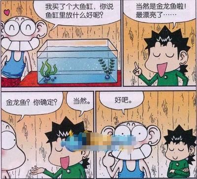 觀察金龍魚的作文：觀察金龍魚的作文內(nèi)容 龍魚百科 第2張