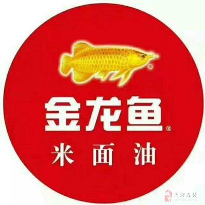 金龍魚(yú)門(mén)店文員：金龍魚(yú)門(mén)店文員的主要職責(zé)包括：金龍魚(yú)門(mén)店文員的任職要求 龍魚(yú)百科 第2張