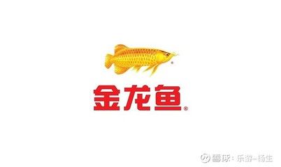 金龍魚股東會(huì)：金龍魚最近一次的股東大會(huì) 龍魚百科 第2張