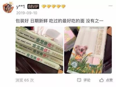 金龍魚能不能吃雞蛋：金龍魚可以吃雞蛋嗎 龍魚百科