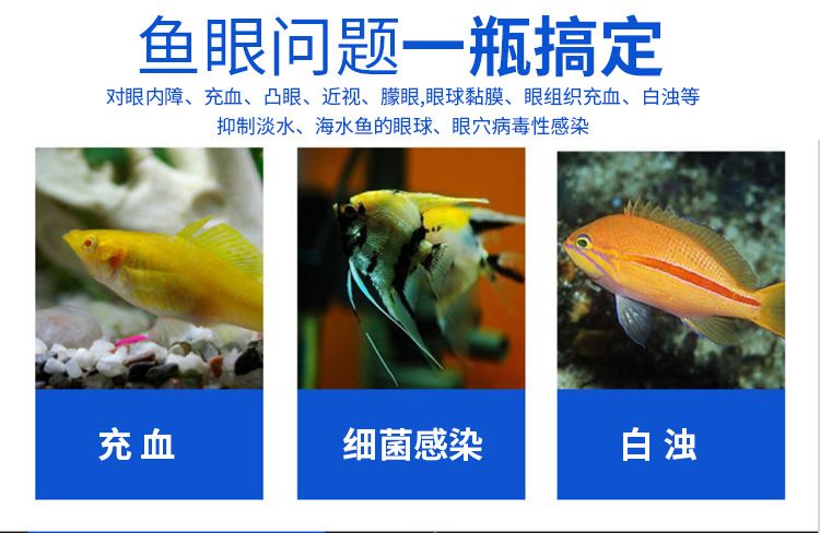 龍魚白眼是怎么引起的原因：如何預(yù)防龍魚白眼