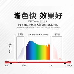 龍魚烤色燈管用嗎：關(guān)于龍魚烤色燈管用嗎