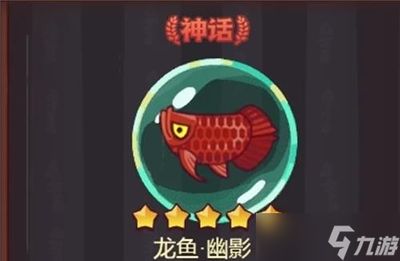 新手如何選龍魚(yú)：新手如何挑選龍魚(yú)