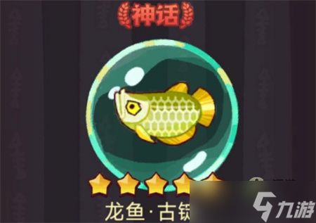 新手如何選龍魚：新手如何挑選龍魚 龍魚百科 第2張