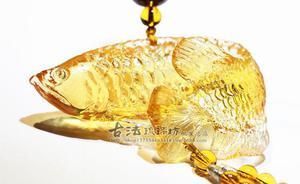 頂級金龍魚價(jià)格多少錢一條：金龍魚的價(jià)格是多少 龍魚百科 第3張