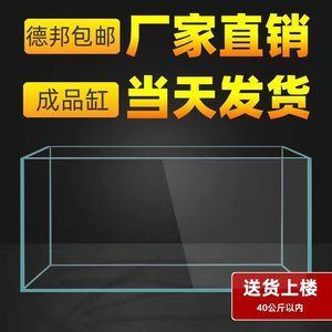 龍魚要多大缸：養(yǎng)龍魚的理想尺寸應(yīng)該是長度在1.5米以上并且高度適當(dāng) 龍魚百科 第2張