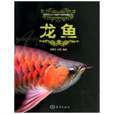 龍魚說明文500字免費閱讀：龍魚的知識