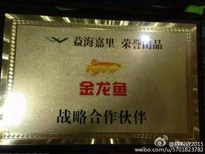 金龍魚榮譽(yù)：益海嘉里金龍魚榮獲“世界品牌金山茶”提名獎