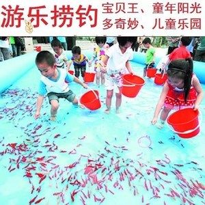 紅龍魚如何挑選好的小魚苗：如何挑選紅龍魚小魚苗