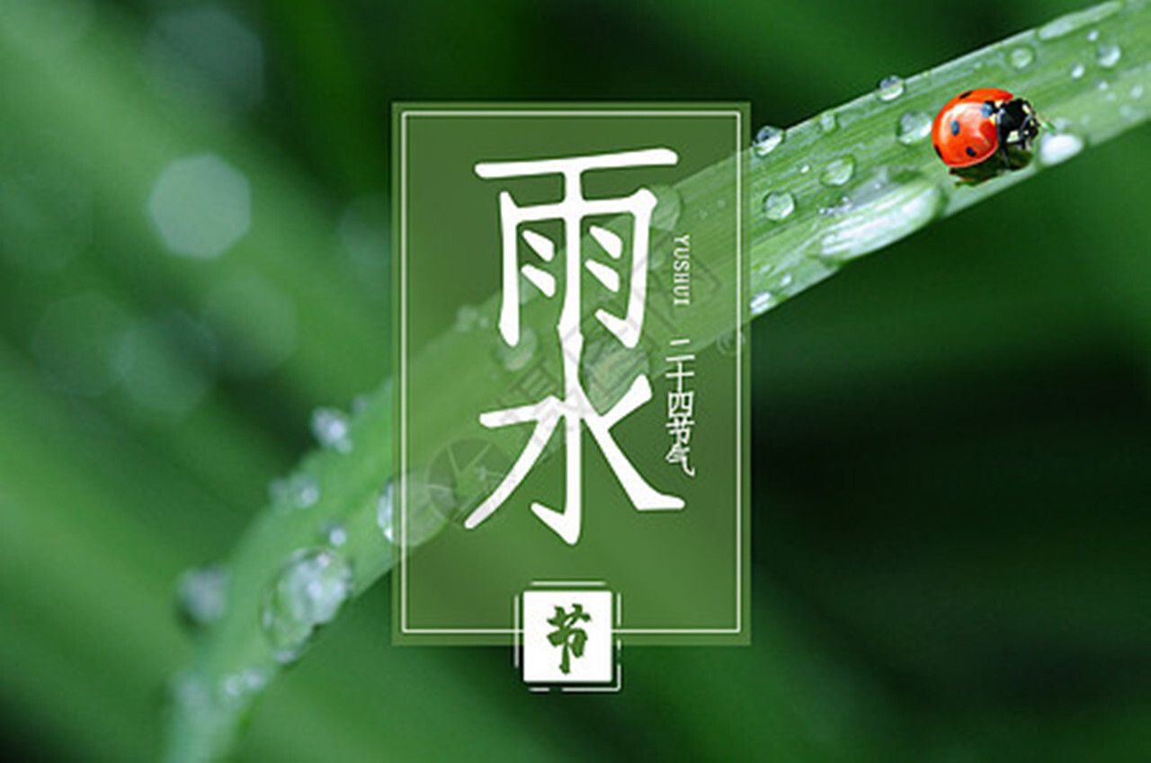 雨水可以養(yǎng)龍魚嗎：雨水可以養(yǎng)龍魚嗎，