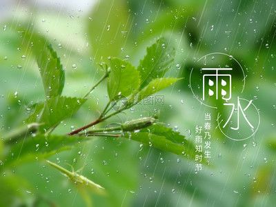 雨水可以養(yǎng)龍魚嗎：雨水可以養(yǎng)龍魚嗎，