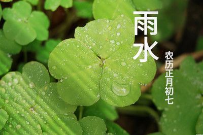 雨水可以養(yǎng)龍魚嗎：雨水可以養(yǎng)龍魚嗎，