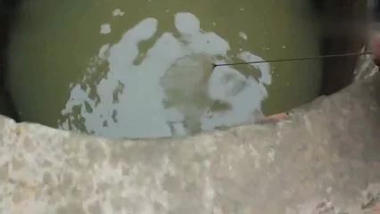 龍魚的屎飄起來：龍魚的屎飄起來可能是由于以下幾個原因 龍魚百科 第1張