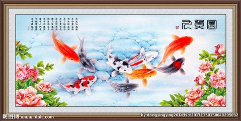 九龍魚是什么魚種：九龍魚是什么魚？ 龍魚百科 第3張