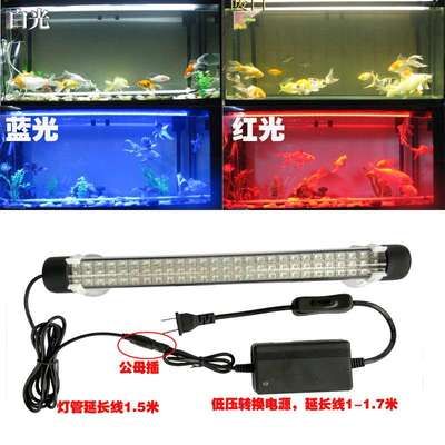 龍魚用led燈會(huì)掉眼嗎為什么：led燈對(duì)龍魚的影響主要體現(xiàn)在是否會(huì)導(dǎo)致龍魚掉眼 龍魚百科 第1張