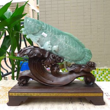 古典翡翠金龍魚(yú)：古典翡翠金龍魚(yú)不僅在外形上吸引人，價(jià)值上也有一定的地位