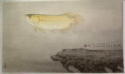 有關(guān)金龍魚的古詩：與金龍魚有關(guān)的古詩