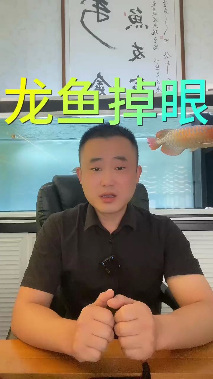 龍魚掉眼的原因：魚樂世界cyl評論：龍魚掉眼就一點膽小，緊迫感強烈 觀賞魚論壇