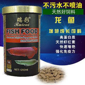 龍魚(yú)專用飼料：如何選擇龍魚(yú)專用飼料