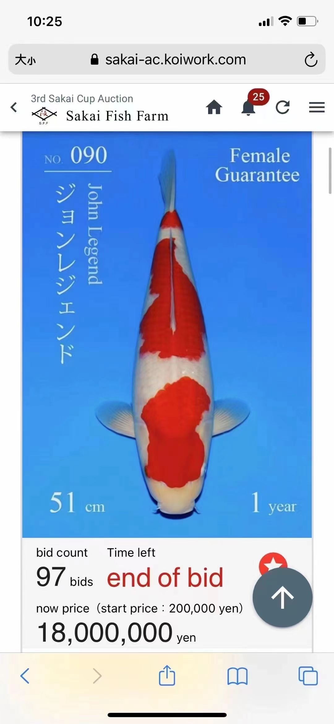 阪井拍賣會：日本阪井養(yǎng)鯉廠一尾45公分的紅白拍出2000萬日元 觀賞魚論壇 第2張