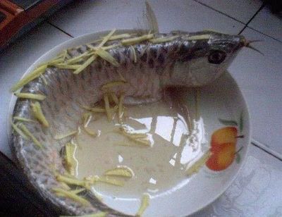 大龍魚能吃嗎：大龍魚可以食用嗎，大龍魚能吃嗎 龍魚百科 第3張