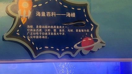 龍魚缸底層魚哪些鰻魚：鰻魚不是最適合與龍魚混養(yǎng)的底層魚 龍魚百科 第2張