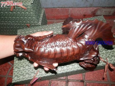 黑色龍魚品：關(guān)于黑色龍魚的品種根據(jù)搜索結(jié)果，主要有以下幾種