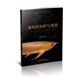 龍魚的鑒賞要點是什么意思呀：龍魚的鑒賞要點 龍魚百科 第3張