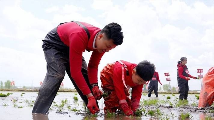 金龍魚基地 大罐子：金龍魚基地大罐子是什么？ 龍魚百科 第3張