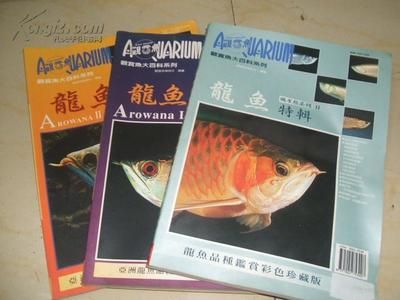 龍魚百科全書免費(fèi)閱讀：關(guān)于龍魚的各種知識(shí)