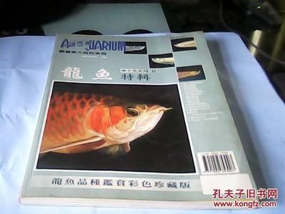 龍魚百科全書免費(fèi)閱讀：關(guān)于龍魚的各種知識(shí)