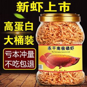 龍魚不吃干蝦：龍魚不喜歡吃干蝦嗎？ 龍魚百科 第1張