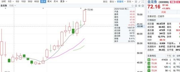 金龍魚股今日行情：金龍魚股今日行情2024年4月30日收盤價為31.40元