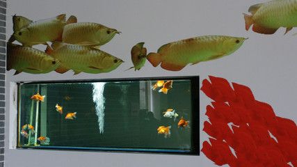 紅色九條金龍魚(yú)代表著權(quán)力、財(cái)富和榮譽(yù)等寓意的寓意：九條金龍魚(yú)具有深厚的文化寓意