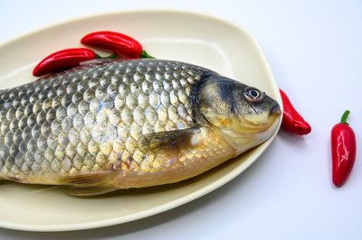 小型龍魚飲食選擇對其健康和生長至關(guān)重要以下幾點：小型龍魚的飲食選擇對其健康和生長至關(guān)重要 龍魚百科 第2張