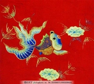 飛鳳魚(yú)和龍魚(yú)是可以一起養(yǎng)的，但需要注意一些事項(xiàng)：飛鳳能和龍魚(yú)一起養(yǎng)嗎 龍魚(yú)百科 第2張