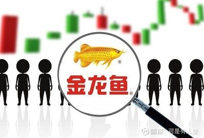 金龍魚的市值和估值怎么看？：金龍魚的市值和估值