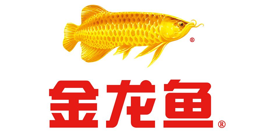 金龍魚logo設計理念是什么？：金龍魚logo設計理念