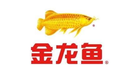 金龍魚的市場(chǎng)價(jià)格高達(dá)18萬(wàn)元人民幣：1.5公斤的金龍魚可以賣到18萬(wàn)元人民幣，每克單價(jià)120元 龍魚百科 第2張